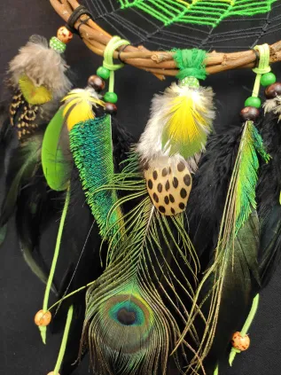 Jungle Peacock Dreamcatcher 'Hypnotizing' | Chrysocolla Stone