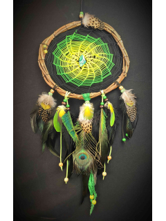 Jungle Peacock Dreamcatcher 'Hypnotizing' | Chrysocolla Stone