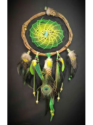 Jungle Peacock Dreamcatcher 'Hypnotizing' | Chrysocolla Stone