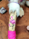 Shamanic Smudge Fan "The Sacred Pink Fire" | Flamingo Totem & Aura Howlite