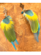 Plumes des Caraïbes - Boucles d'oreilles chamaniques en apatite et plumes de perroquet