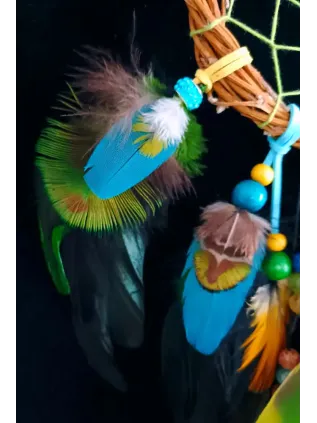 Attrape-rêves Lagon enchanté en abalone - Amazone