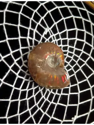 Attrape-Rêves Chamanique Roue de Médecine « La Spirale Sacrée » | 4 Directions